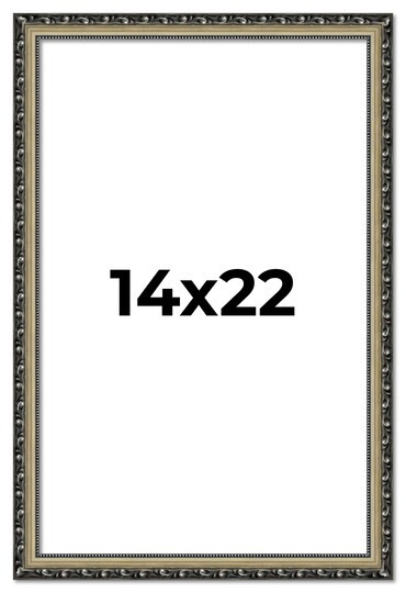 CustomPictureFrames.com; 14x22 Museum-Quality Picture Frame with UV-Resistant Acrylic & Acid-Free Backing, Available in 4 Finishes - Gold, Silver, Bronze, and Black; Category:Single Opening; Image:1